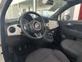 Fiat 500C 500 Cabrio 1.0 70 CvHybrid Alb - thumbnail 11