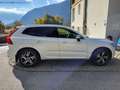 Volvo XC60 XC60 D4 R-Design AWD GeartronicR-Design Weiß - thumbnail 3