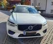 Volvo XC60 XC60 D4 R-Design AWD GeartronicR-Design Weiß - thumbnail 4