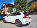 Volvo XC60 XC60 D4 R-Design AWD GeartronicR-Design Weiß - thumbnail 1