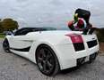 Lamborghini Gallardo Spyder 5.0i V10 40v White - thumbnail 10
