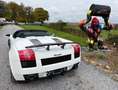 Lamborghini Gallardo Spyder 5.0i V10 40v White - thumbnail 9