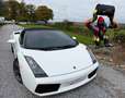 Lamborghini Gallardo Spyder 5.0i V10 40v White - thumbnail 3