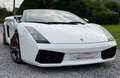 Lamborghini Gallardo Spyder 5.0i V10 40v White - thumbnail 16