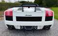 Lamborghini Gallardo Spyder 5.0i V10 40v White - thumbnail 11