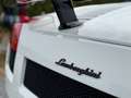 Lamborghini Gallardo Spyder 5.0i V10 40v White - thumbnail 24