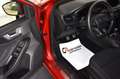 Ford Focus 1,0-ST Line-83.319KM-LED-CAM-Neo Paten.-Navi-Bluet Rosso - thumbnail 2