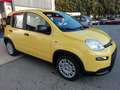 Fiat Panda Pandina 1.0 firefly hybrid s Auriu - thumbnail 1