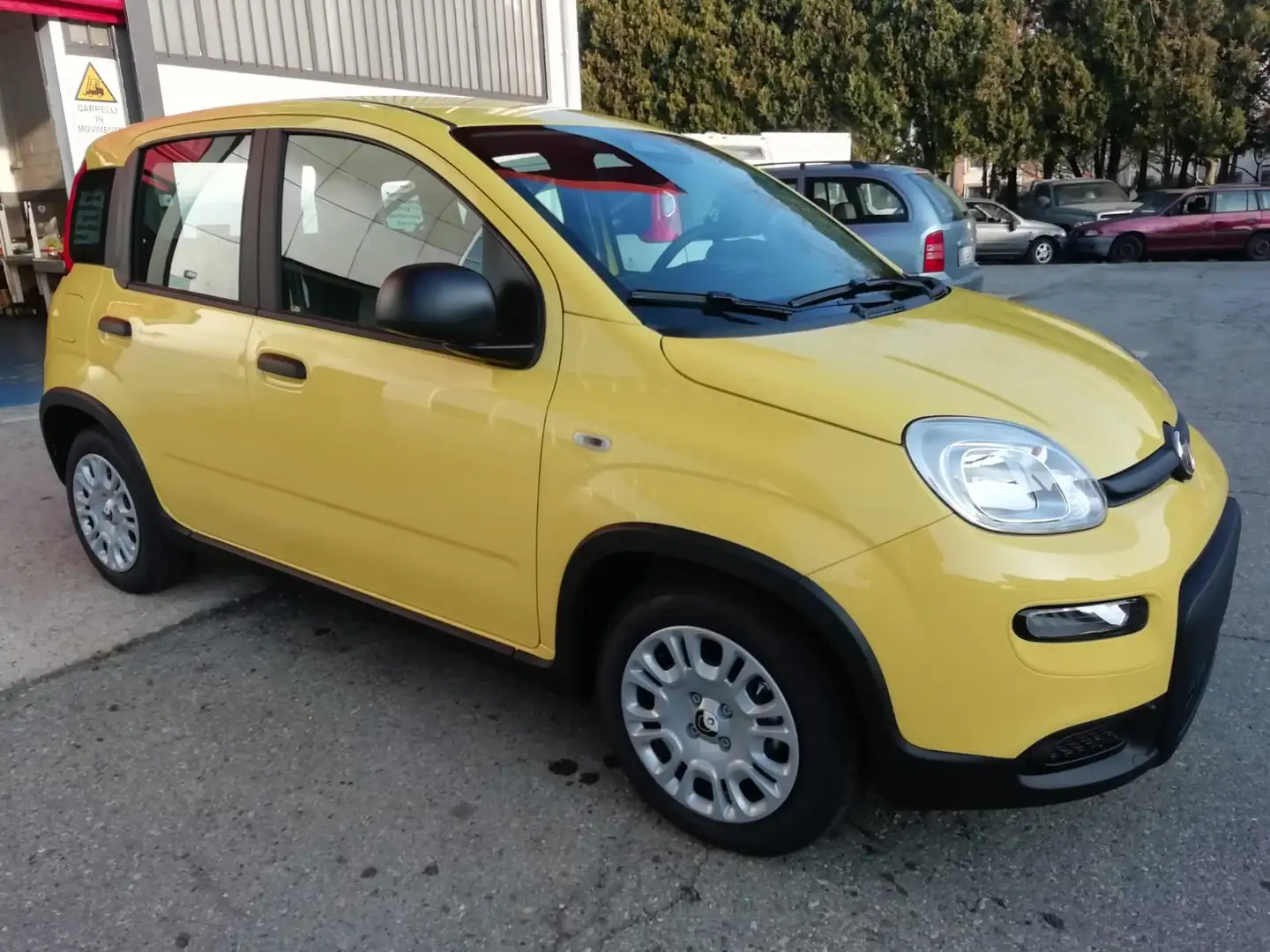 Fiat Panda Pandina 1.0 firefly hybrid s Auriu - 1