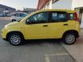 Fiat Panda Pandina 1.0 firefly hybrid s Auriu - thumbnail 2