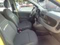 Fiat Panda Pandina 1.0 firefly hybrid s Auriu - thumbnail 15