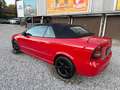Opel Astra Cabrio Bertone 1,6 16V Rot - thumbnail 3