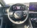 Skoda Kodiaq Selection 2.0 TDI DSG 4x4 Navi+Pano+AHK Grau - thumbnail 13
