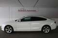 Audi A5 Sportback 2.0 TDI quattro, Leder, Xenon, SD Weiß - thumbnail 6