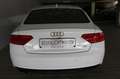 Audi A5 Sportback 2.0 TDI quattro, Leder, Xenon, SD Weiß - thumbnail 10