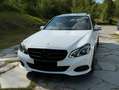 Mercedes-Benz E 200 E 200 BlueTEC 7G-TRONIC Avantgarde Weiß - thumbnail 7