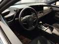 Lexus ES 300 h Business Line Aut. netto export 42000,00 Grijs - thumbnail 4