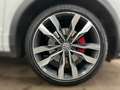 Volkswagen T-Roc 1.5 TSI Highline Weiß - thumbnail 8