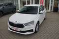 Skoda Fabia 1.0 TSI DSG LED SmartLink Navi Spurhalte Weiß - thumbnail 14