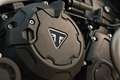 Triumph Tiger 900 RALLY PRO Negro - thumbnail 19