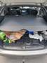 Mercedes-Benz C 220 C 220 T CDI (LA)(203.208) Gris - thumbnail 10