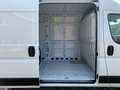 Opel Movano HKa L2H2 3,5t Edition C Kasten (U9/Y) Blanc - thumbnail 8