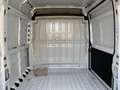 Opel Movano HKa L2H2 3,5t Edition C Kasten (U9/Y) Blanc - thumbnail 11