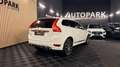 Volvo XC60 3.0 T6 R-Design 4X4 PANORAMADAK/MEMORY/PREMIUMSOUN Blanco - thumbnail 3
