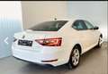 Skoda Superb 2.0 TDI DSG L&K - thumbnail 1