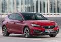 SEAT Leon 1.0 EcoTSI S&S Reference 115 Weiß - thumbnail 5