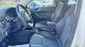 Audi A1 Sportback 1.6 TDI Ambition S-tronic Bianco - thumbnail 10