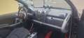 smart forTwo 1000 52 kW MHD coupé passion NEOPATENTATI Nero - thumbnail 12