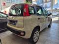 Fiat Panda Panda III 0.9 t.air t. natural power Easy 80cv Beige - thumbnail 5