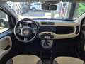 Fiat Panda Panda III 0.9 t.air t. natural power Easy 80cv Beige - thumbnail 13