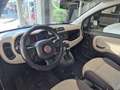 Fiat Panda Panda III 0.9 t.air t. natural power Easy 80cv Beige - thumbnail 9