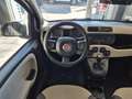 Fiat Panda Panda III 0.9 t.air t. natural power Easy 80cv Beige - thumbnail 12