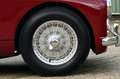 Aston Martin DB DB2/4 Mk1 2.6 Liter | Mille Miglia Eligible Červená - thumbnail 8