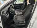 Audi Q5 40 TDI quattro S-Tronic /KAMERA / 19Zoll/ 1HA Blanc - thumbnail 8
