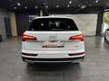 Audi Q5 40 TDI quattro S-Tronic /KAMERA / 19Zoll/ 1HA Blanc - thumbnail 5