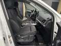 Audi Q5 40 TDI quattro S-Tronic /KAMERA / 19Zoll/ 1HA Blanc - thumbnail 7
