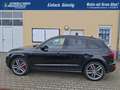 Audi SQ5 plus AHK Pdach 3.0 TDI plus quattro 250 kW (340... Schwarz - thumbnail 4