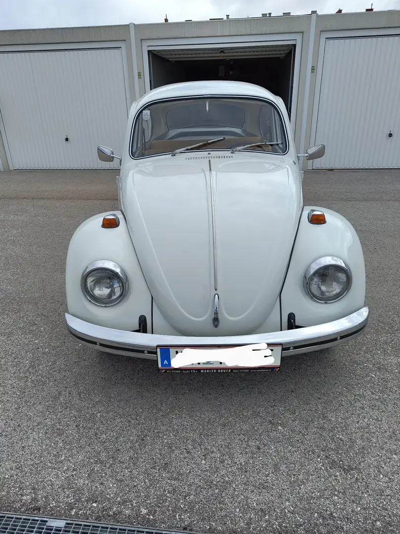 Volkswagen Käfer Weiß - 2