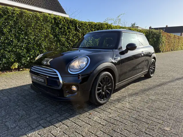 MINI Cooper Mini 1.5 Chili. Half leer,Panoramadak,stoelverw !