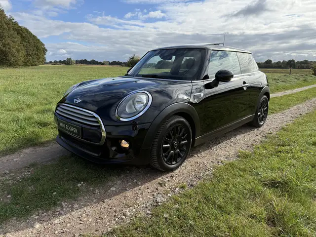 MINI Cooper Mini 1.5 Chili. Half leer,Panoramadak,stoelverw !
