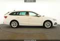Skoda Octavia Octavia Combi 1.0 TSI First Edition #AHK#HuD#ACC Weiß - thumbnail 7