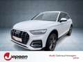 Audi Q5 TFSI e advanced 50 qu S tr Matrix ACC 19` Weiß - thumbnail 1