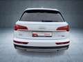 Audi Q5 TFSI e advanced 50 qu S tr Matrix ACC 19` Weiß - thumbnail 5