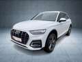 Audi Q5 TFSI e advanced 50 qu S tr Matrix ACC 19` Weiß - thumbnail 2