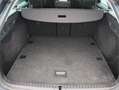 Skoda Octavia Combi 1.5 TSI First Edition/ panoramadak/ lage km! Gris - thumbnail 15