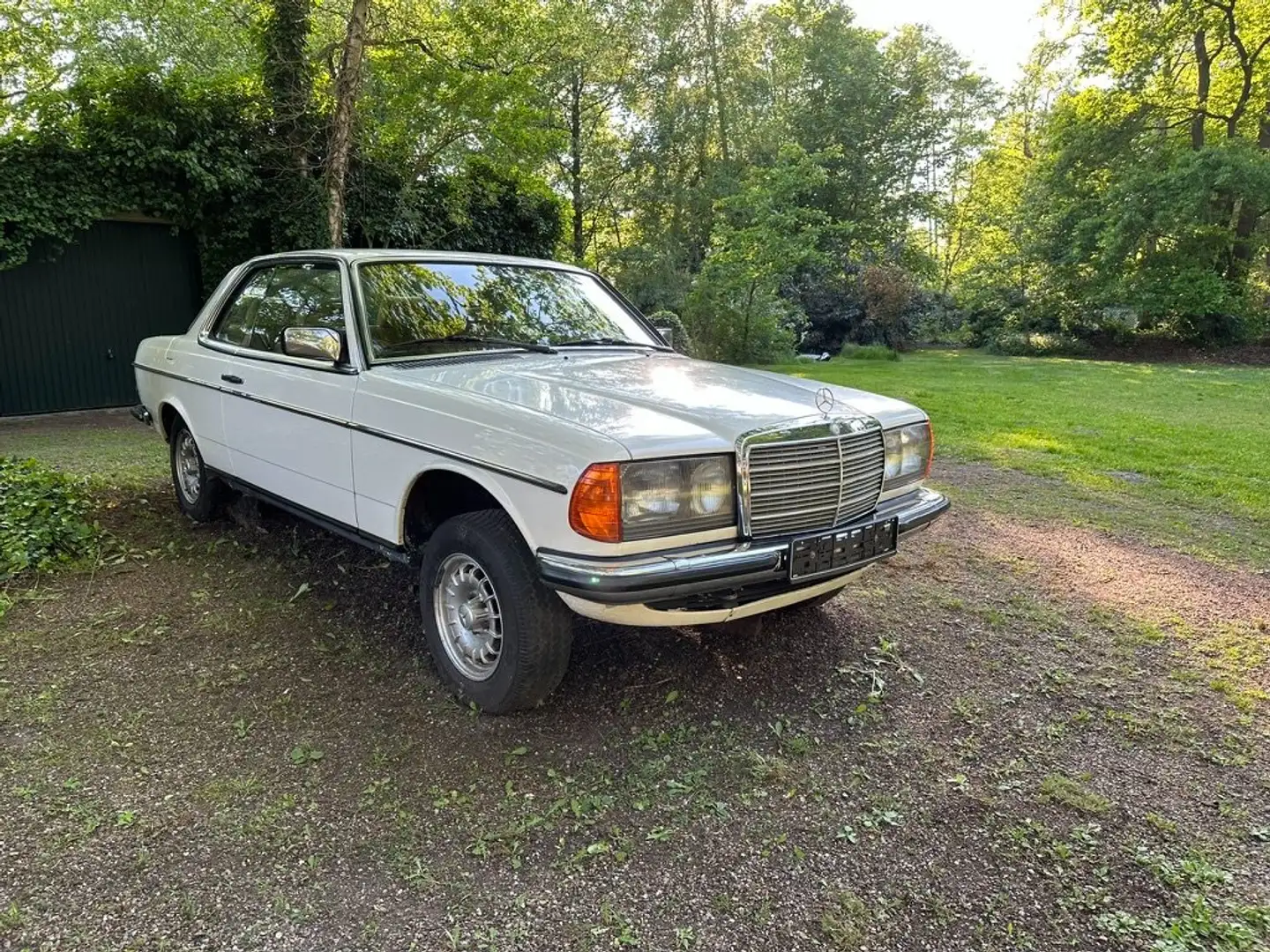 Mercedes-Benz CE 230 Baureihe 123 Alb - 1